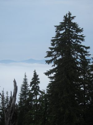 We finally got above the cloud line and got a view of...