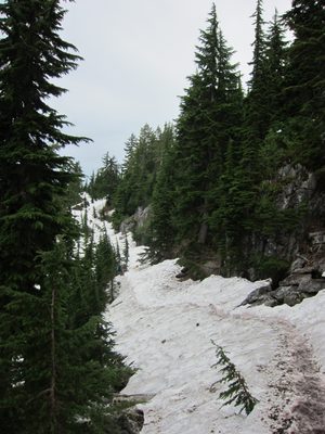 Hrm.  More snow.  This snowfield (with trail across it)...