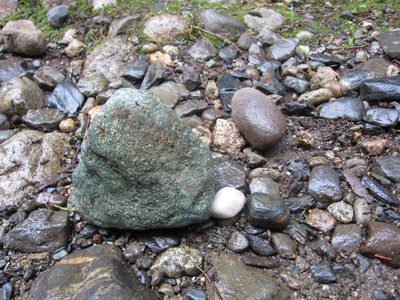 Cool rocks we found on the trail.