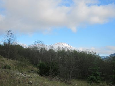 Looking at Mt. St. Helen's from the Hummocks Trail.