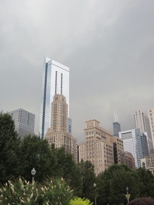 Our trip to the Bean was a bit rushed because it seemed...