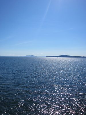 I keep looking for whales... no luck :(
