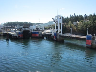 Our docking location in Swartz Bay.  The boat came up...