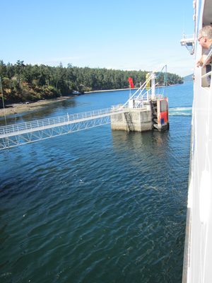 The captain did an excellent job; I don't think the boat...