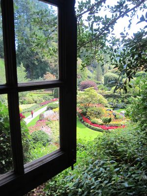Looking out at the sunken gardens.  Trying Dad's...
