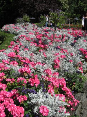 I had almost forgotten how vivid the colors were in the gardens.