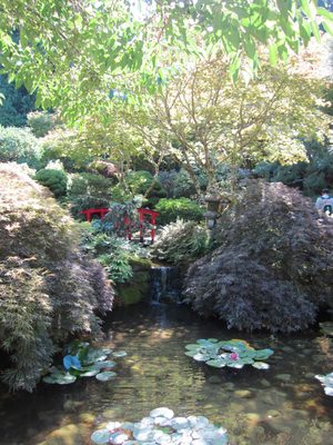 A small red bridge in the Japanese Garden.