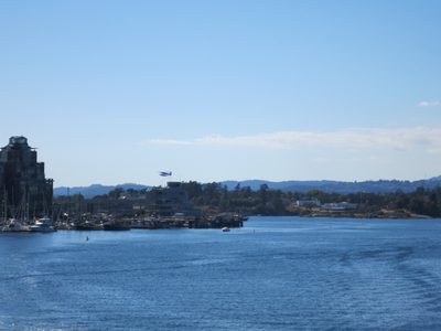 Sea plane buzzed all around, taxiing out, taking off,...