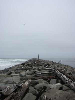 Walking on the jetty.