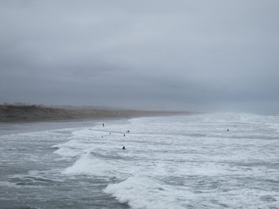 There were actually a lot of folks in the water.  They...