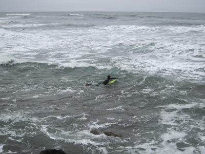 A surfer paddles out.  You can imagine, looking at him,...