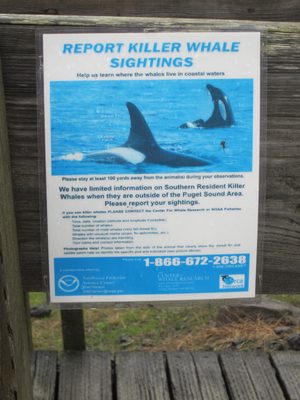 Unfortunately, we did not see any.