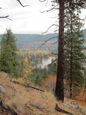 Looking down at the Icicle Creek (which drains into the...