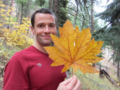 Jay gives a sense of scale to the leaves on the ground.