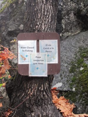 Interesting.  Not only is the river closed to fishing...