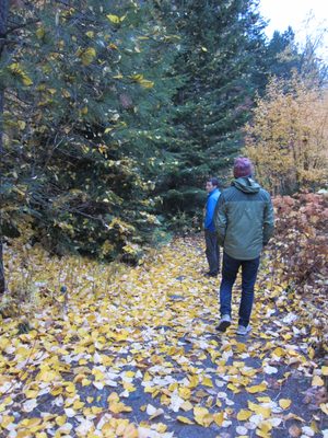 Jay and John march through some pretty fall leaves... or...