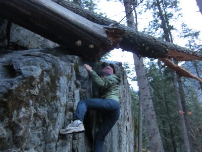John trying to find a way up around this tree.