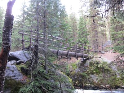The beta said we would come to "an attractive log bridge...