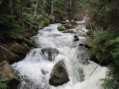 Looking up Mountaineer Creek.