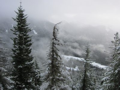 Looking down towards the Longmire Lodge.