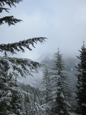 More snow, trees, and clouds.