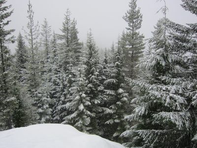 The snow made the area very peaceful.