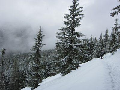 Jeremiah up the trail.