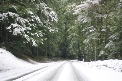 The road to Rainier!  Li'l Blue managed to get through...