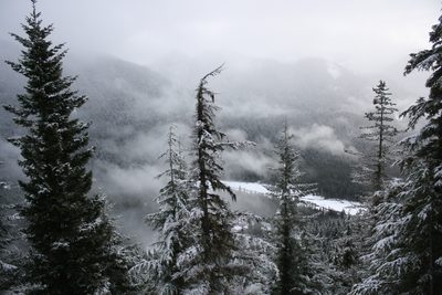 Looking down on Longmire.