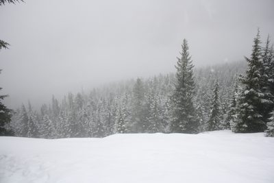 The wide, wonderful views from the lookout.