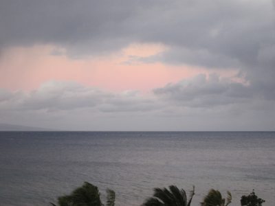 And, as promised, a breaching whale visible from shore. ...