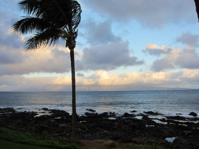 I think I had this whole tree in view when I pushed the...