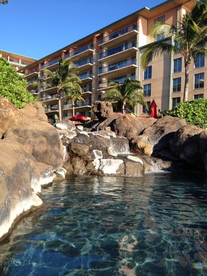 One of the water features in one of the pools at Bob and...