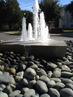 A nice fountain near the Stanford tower.