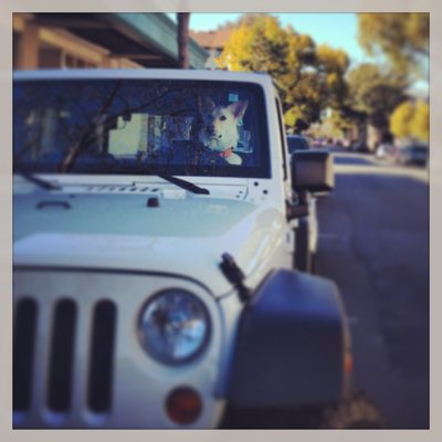 I also saw a dog driving* a car.

*it was a parked...