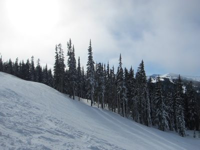 Looking across Paradise towards the back (new) area.