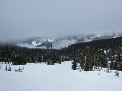 Looking down mountain on Out of the Lupin.