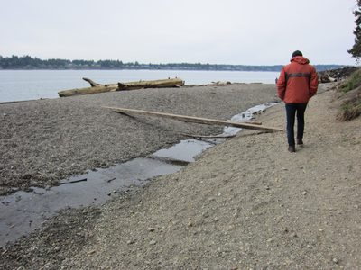 John exploring the beach at Burfoot Park.