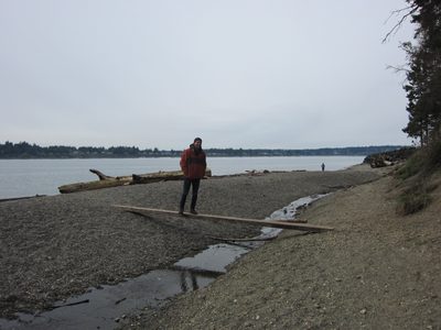 Bridges of the PNW!