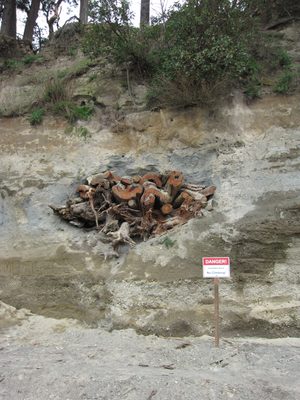 We had no idea what was going on here: the large bank...