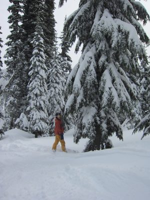 John exploring the trees skier's left off the top of the...
