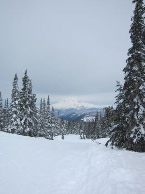 The conditions were pretty much fabulous.  The morning...