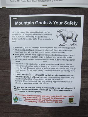 Now, there is a whole backstory with this hike.  It is...