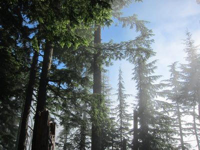 More hazy blue skies.