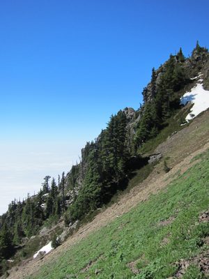A view of the slope.  Keep this meadow in mind for some...
