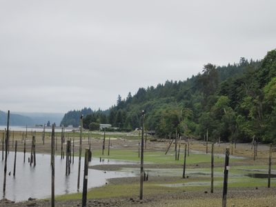 On the road to Sequim to see the lavender, I spotted...