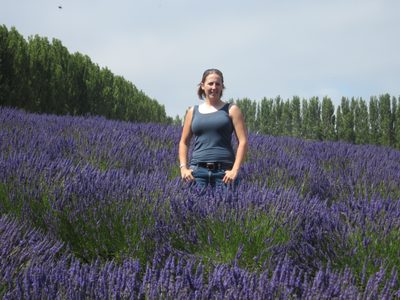Catherine (and a bee) amongst the lavender.