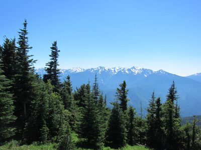 Mountains visible from Hurricane Ridge.