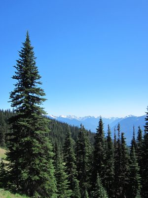 Looking out at more mountains.