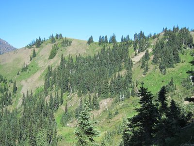 Looking towards the High Ridge Trail offshoot to Sunrise...